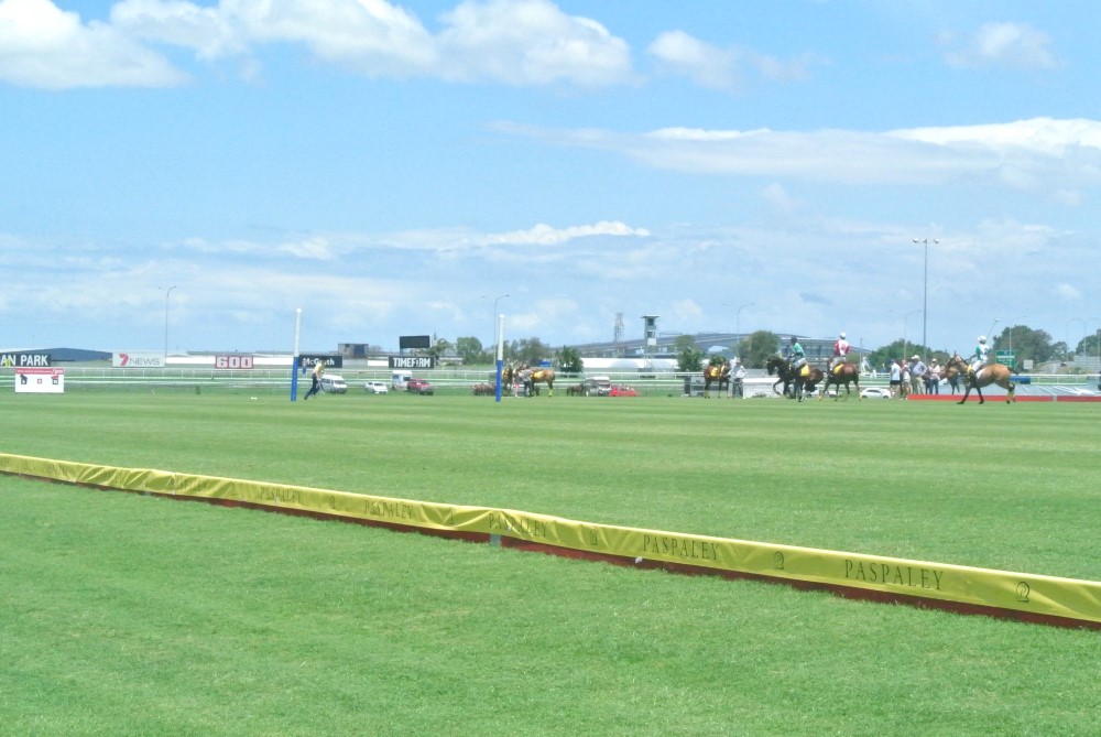 DSC 7496
