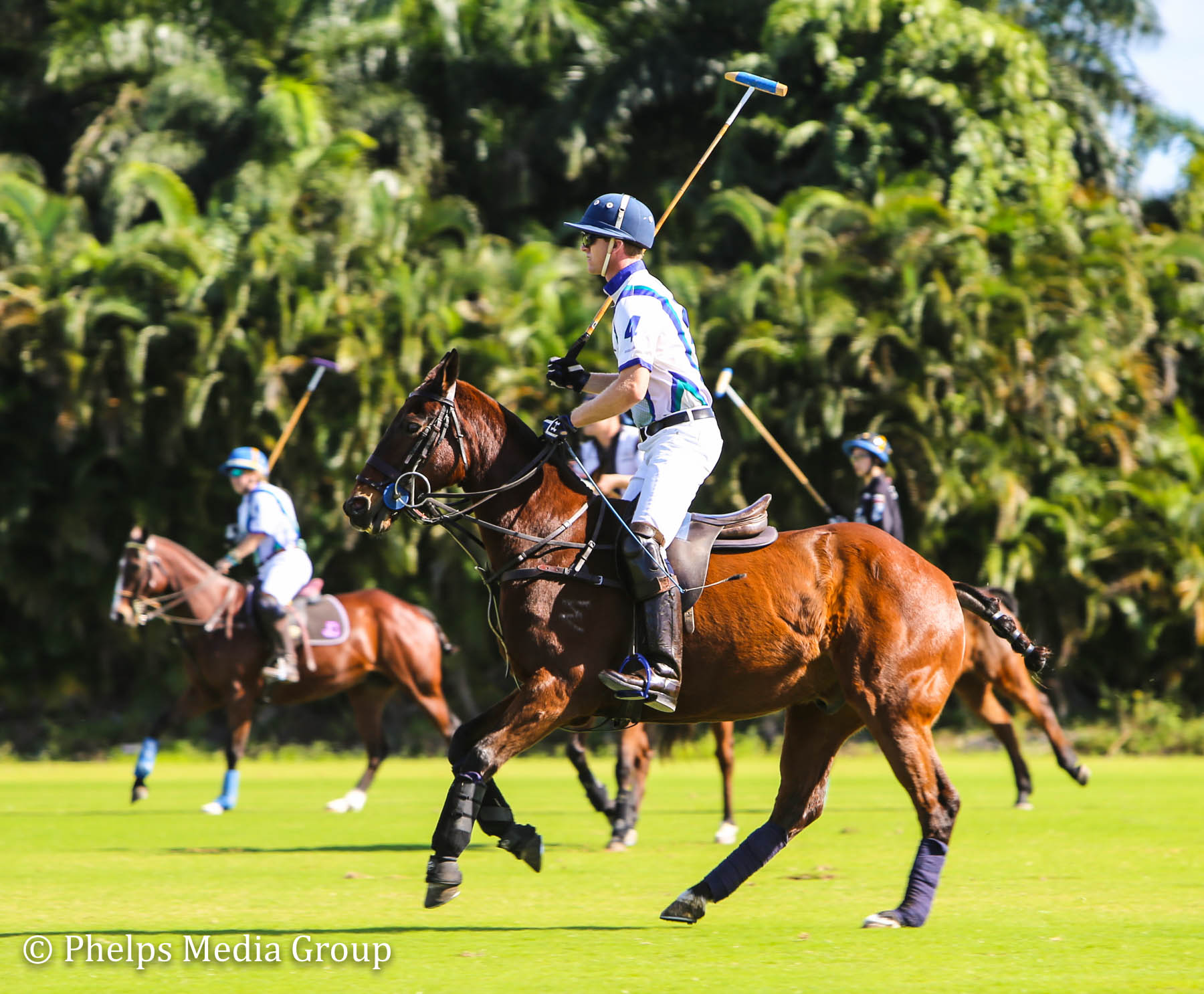 6 Goalers Jeff Blake Playing in American Equus Stirrups