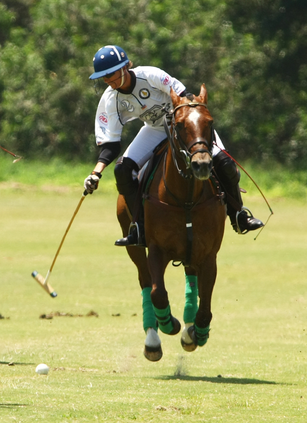 polosun 4