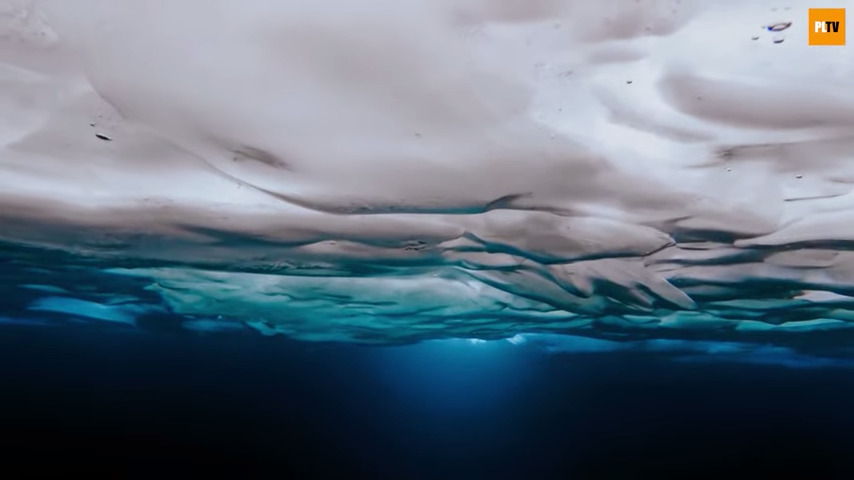 ICE
